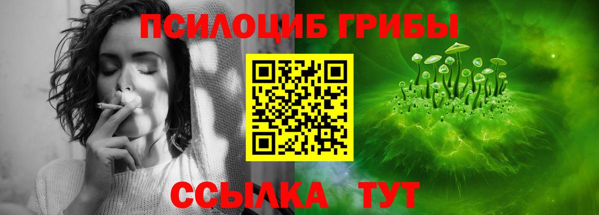 Артёмовский  Псилоцибиновые грибы MAGIC MUSHROOMS  Вход с VPN  Галлюциногенные грибы MAGIC MUSHROOMS 